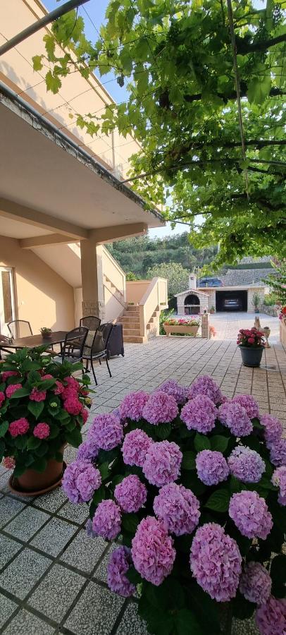 Apartman Anka Palit Zewnętrze zdjęcie